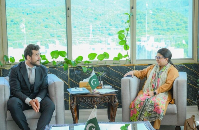Strategic Collaboration on the Horizon: Yango Tech Engages with Pakistan’s Ministry of IT & Telecom