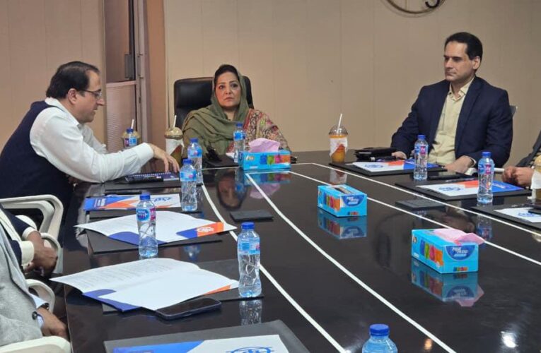 SENIOR ADVISOR TO CM, SENATOR ANUSHA RAHMAN TOOK THE BRIEFING ON CBD, NAWAZ SHARIF IT CITY, REAFFIRMING CM PUNJAB MARYAM NAWAZ SHARIF’S COMMITMENT TO DIGITAL PUNJAB